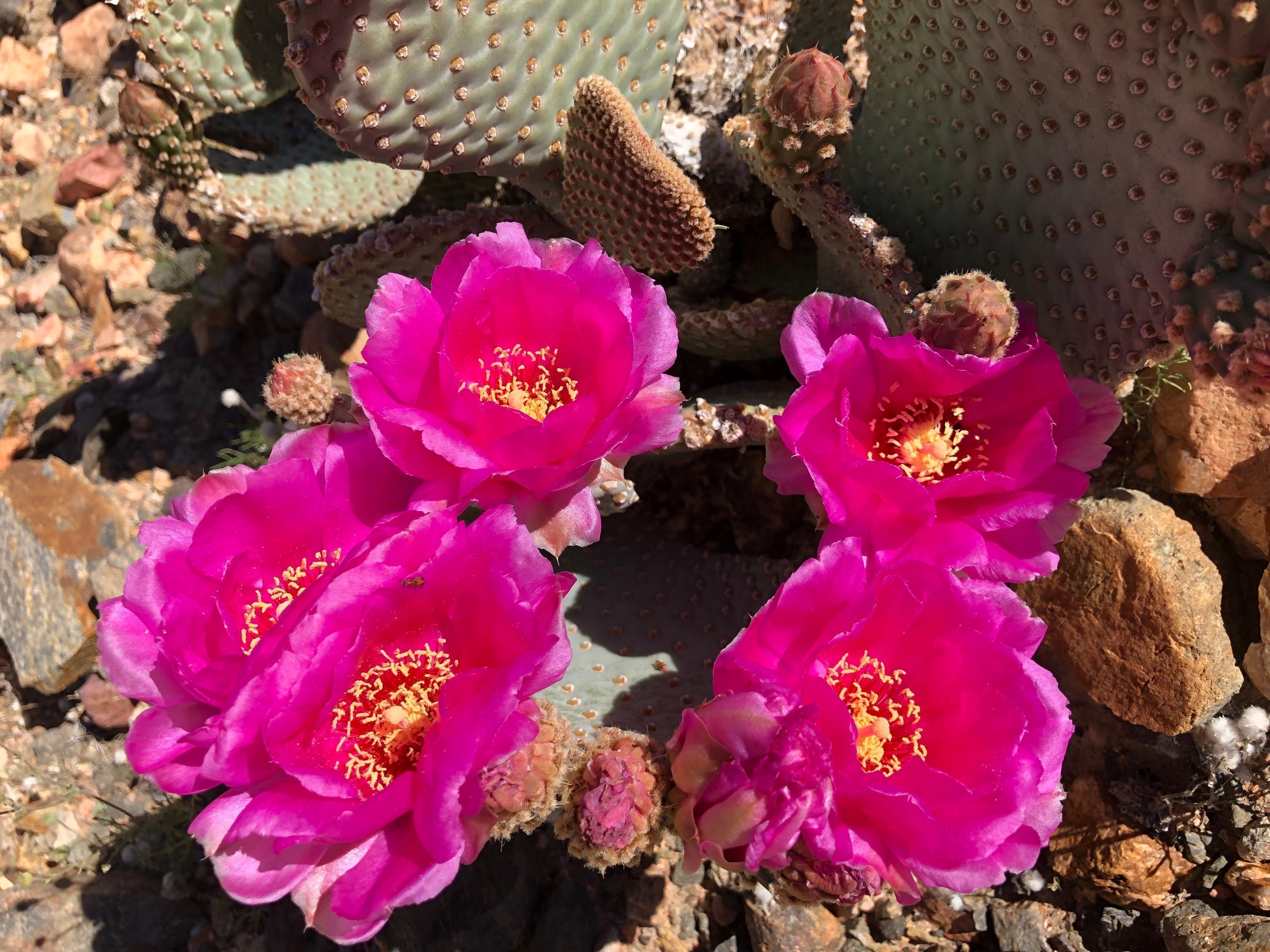 The Story Behind Surf. Summit. Soul. - OC Designworks